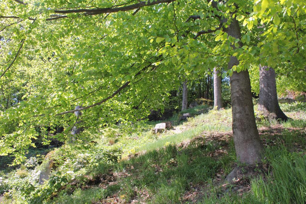 Asika Villa Josefŭv Dŭl Kültér fotó