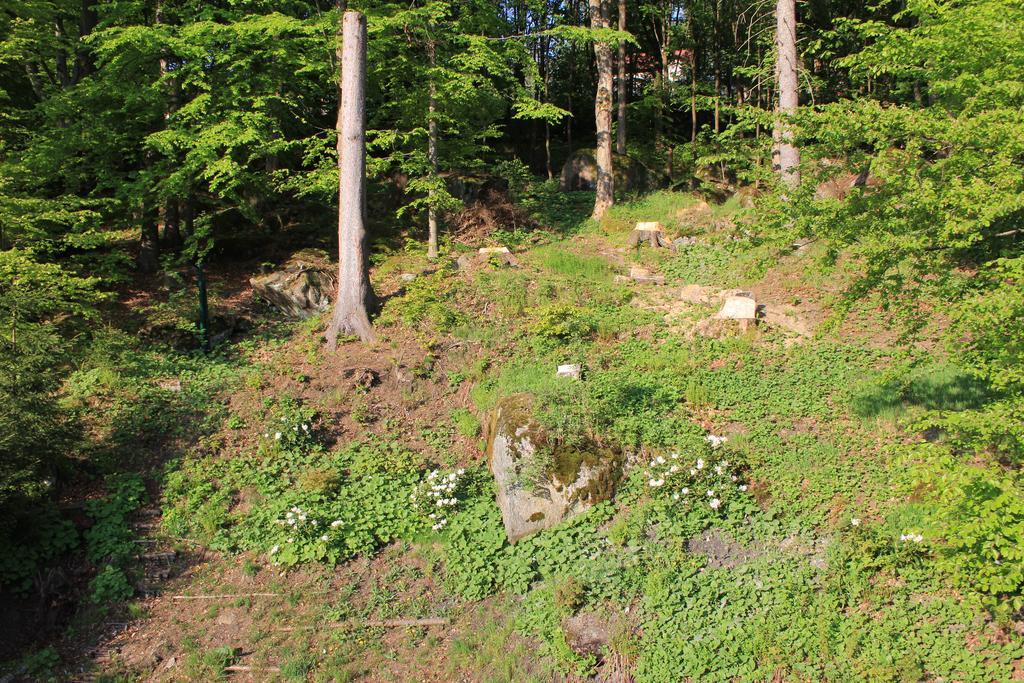 Asika Villa Josefŭv Dŭl Kültér fotó